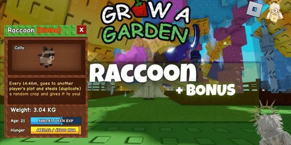 Gambar Product "Raccoon - Grow A Garden"