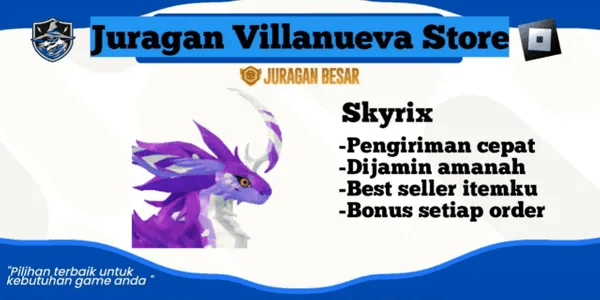 Skyrix
