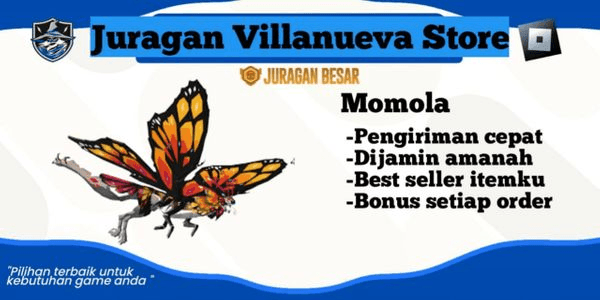 Gambar Product Momola
