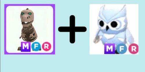 Gambar Product MFR Skele-Rex + MFR Snow Owl