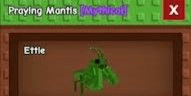 Gambar Product Praying Mantis