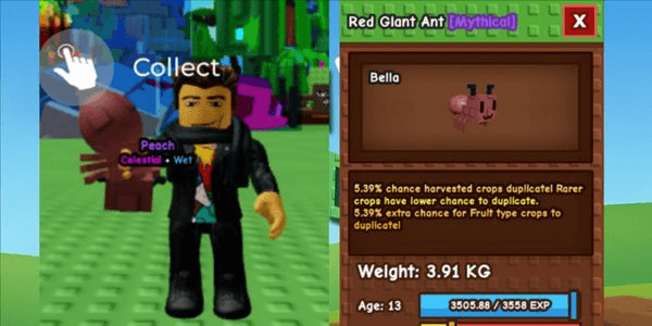 Gambar Product "Red Giant Ant - Mythical"