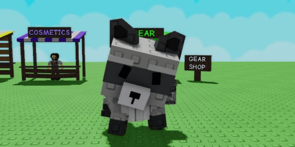 Gambar Product RACCOON
