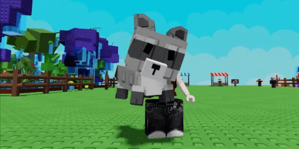 Raccoon || Grow A Garden