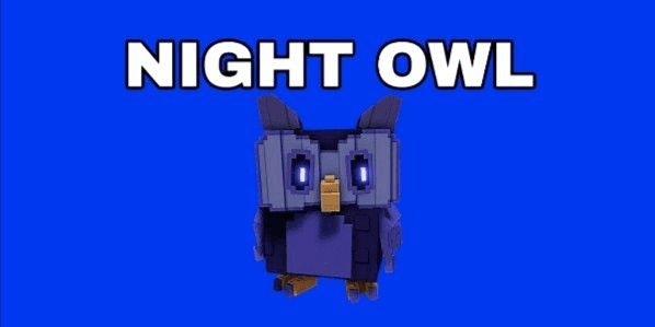 Gambar Product Night owl