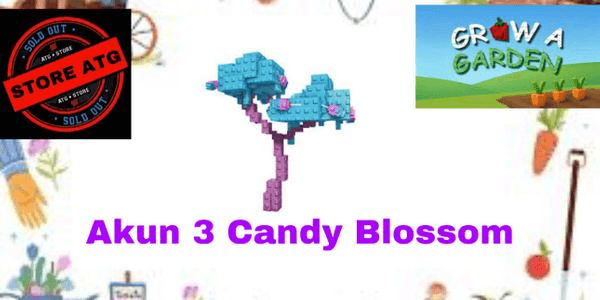 Gambar Product Account 3 Candy Blossom