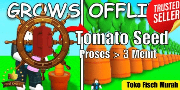 Product Showcase