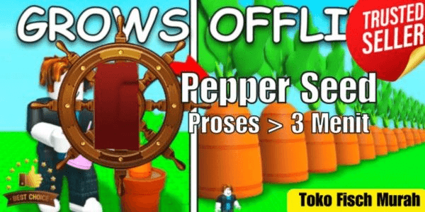 Product Showcase