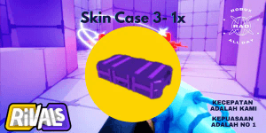 Skin Case 3 x1