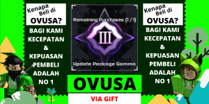 Update Package Gamma