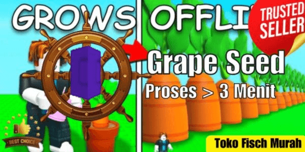 Product Showcase