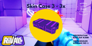 Skin Case 3 X3