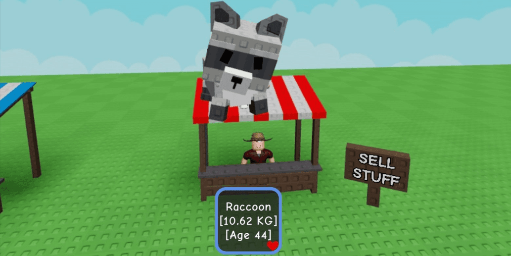 Product Showcase