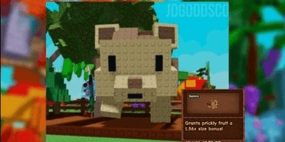 Gambar Product giant/titan hedgehog pet