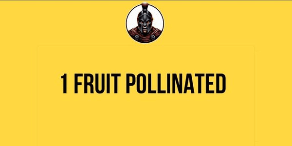 Gambar Product 1 Fruit Pollinated