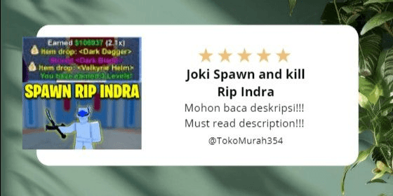 Gambar Product Joki Spawn and kill Rip Indra