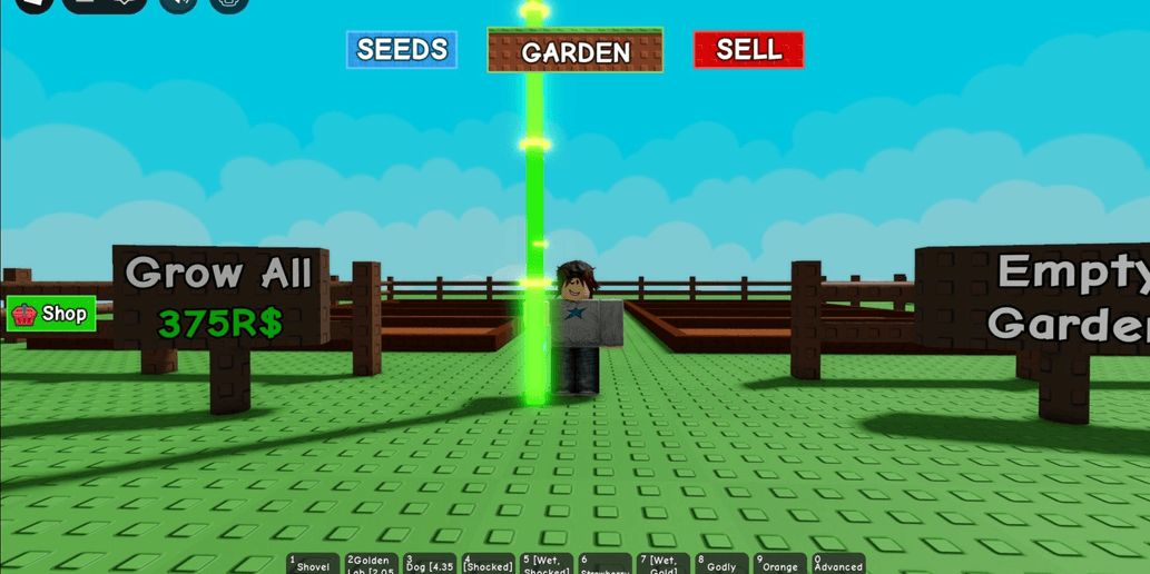 Product Showcase