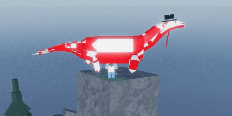 Product Showcase