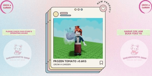 Product Showcase