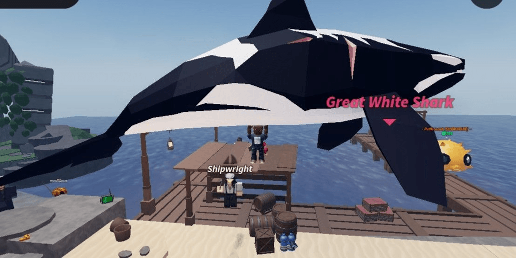 Product Showcase