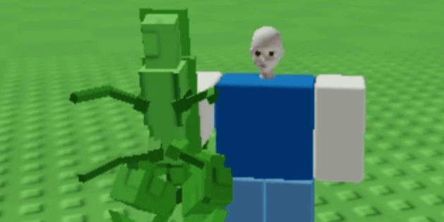 Product Showcase