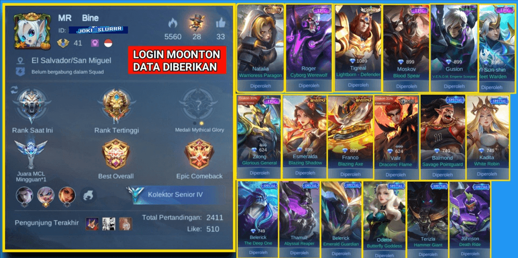 Product Showcase