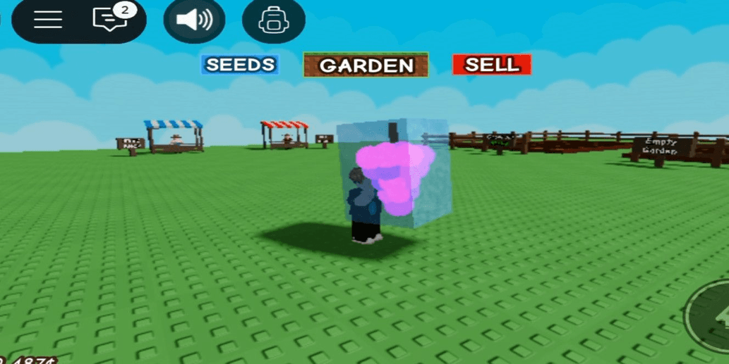 Product Showcase