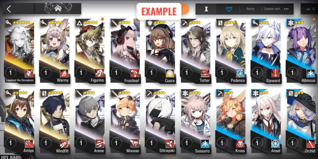 Product Showcase