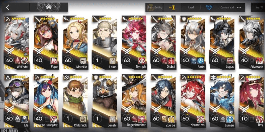 Product Showcase