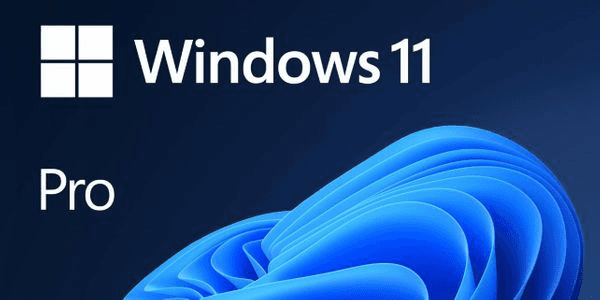 Gambar Product Windows 11 Professional