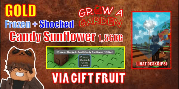 Gambar Product GOLD + SHOCKED + FROZEN CANDY SUNFLOWER (1.56KG) - Grow a Garden