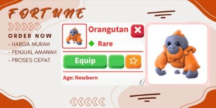 Gambar Product Orangutan