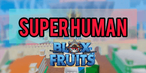 Fighting Style - Superhuman