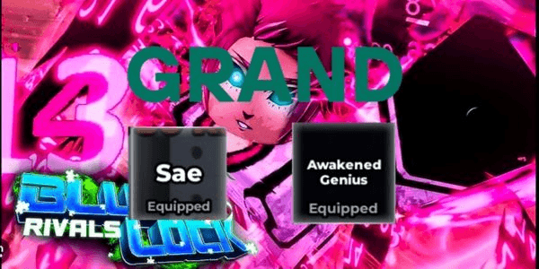 Gambar Product Akun Sae - Awakened Genius - BLR