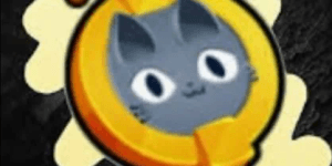 Pet Surge