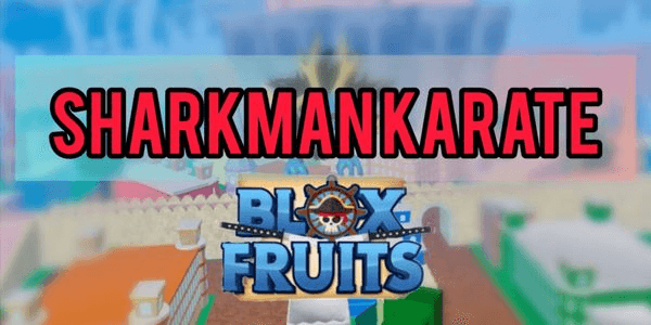 Gambar Product Fighting Style - Sharkman Karate