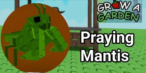 Praying Mantis - Grow A Garden