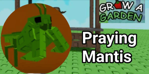 Praying Mantis - Grow A Garden