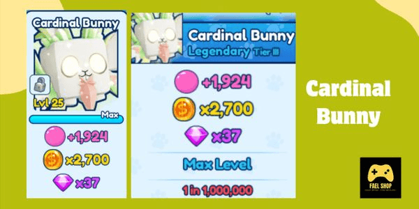Gambar Product Cardinal Bunny