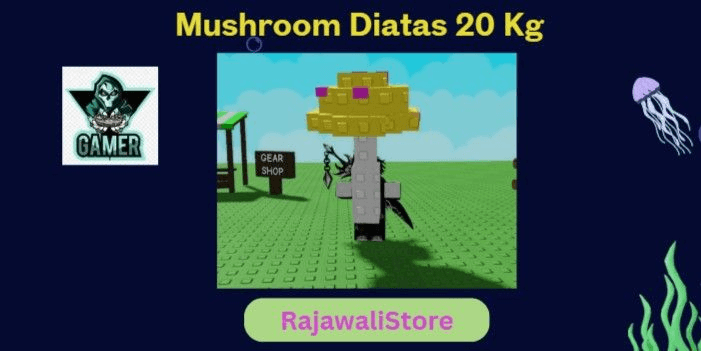 product-image-0