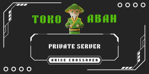 Private Server Arise Crossover 1 Month (NO SHARING)