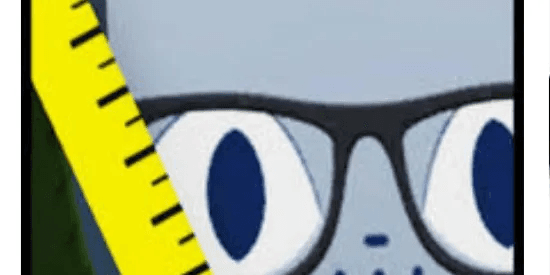 Huge Teacher Cat