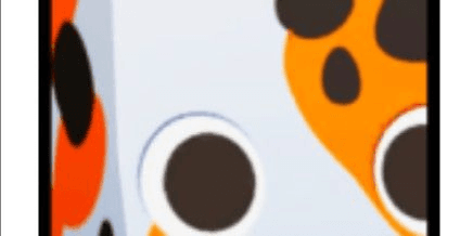 Gambar Product Huge Koi Fish