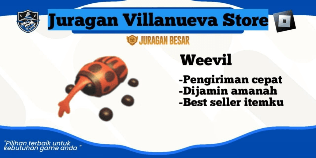 Product Showcase