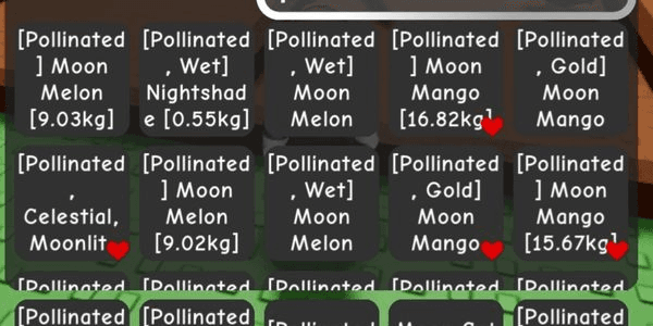 Gambar Product 1 pollinated fruit 10kg+