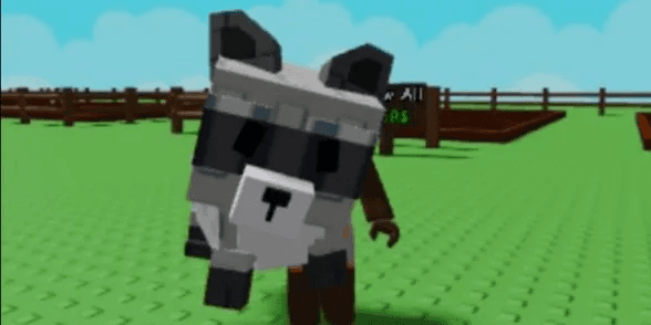 Raccoon - Bonus Coin