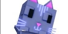 Gambar Product Moon cat Kucing langka terbatas dan sudah bisa di dapatkan