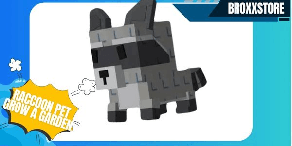 Gambar Product Raccoon Pet | Grow A Garden