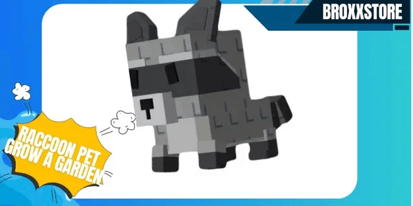 Raccoon Pet | Grow A Garden