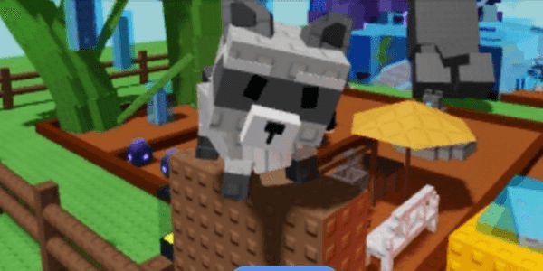 Gambar Product RACCOON